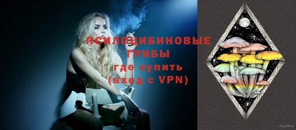 бошки Абаза