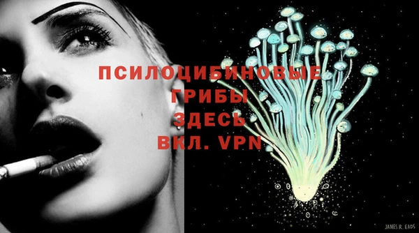 бошки Абаза