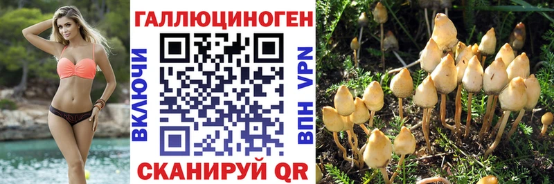 Галлюциногенные грибы Psilocybe  omg tor  Урус-Мартан 
