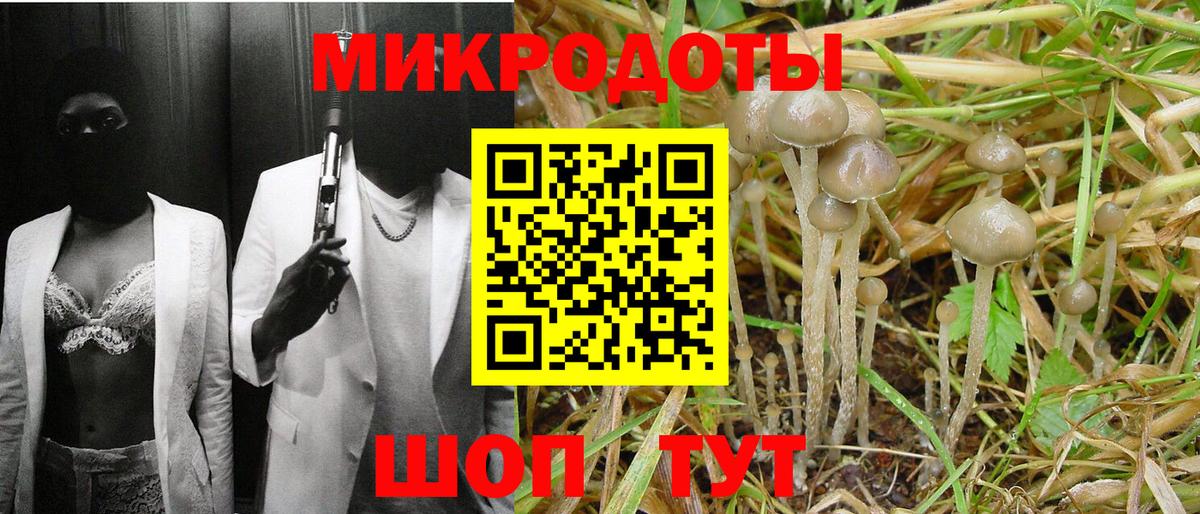 Урус-Мартан  Галлюциногенные грибы ЛСД  Вход с VPN 